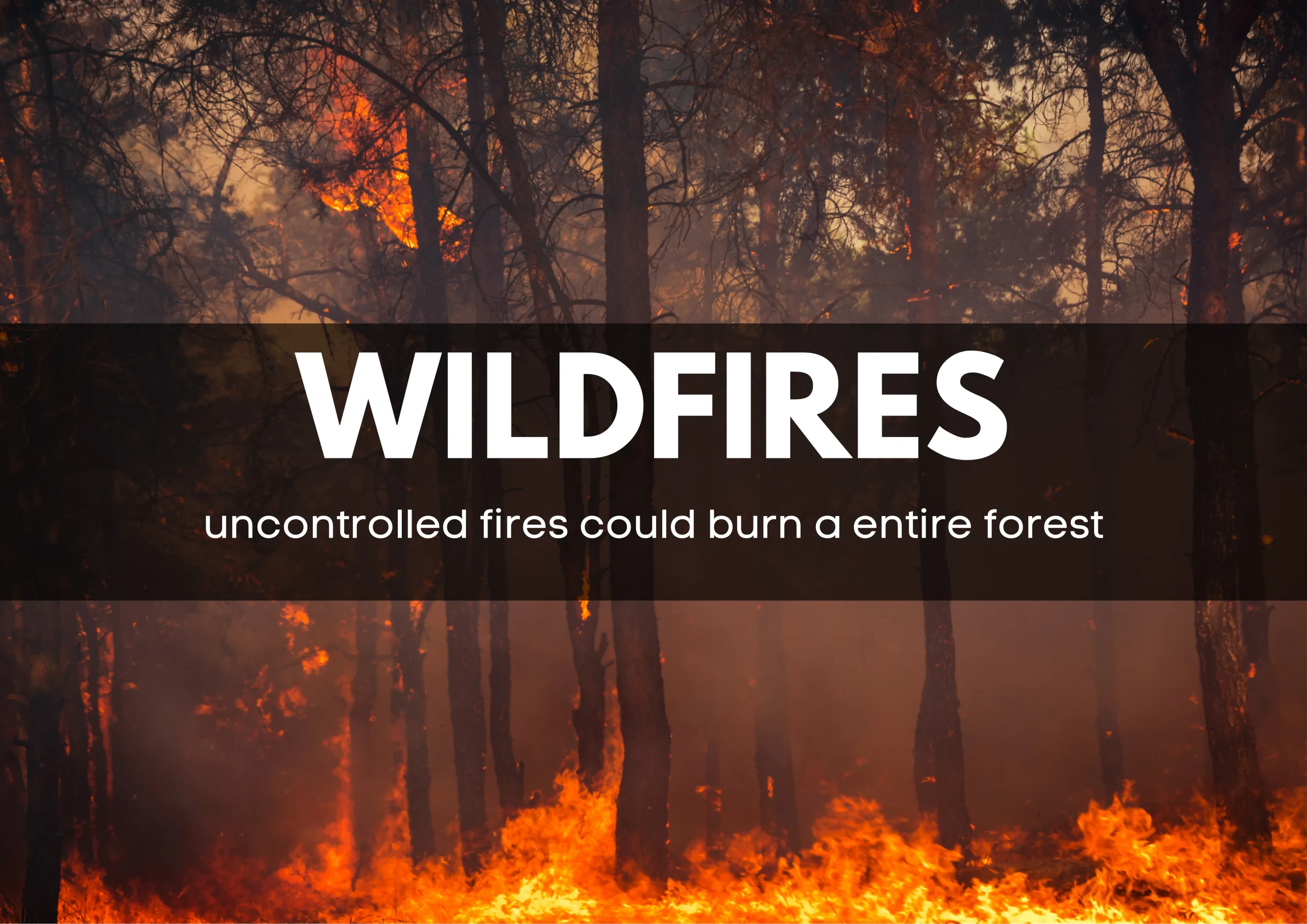 uncontrolled fires that burn in a forest or field